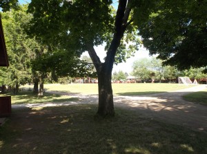 DSCF1120