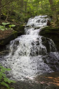 photos_2